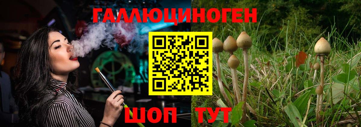 Галлюциногенные грибы Magic Shrooms Баксан