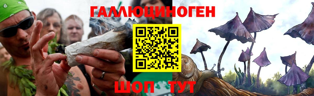 Баксан  Псилоцибиновые грибы Cubensis  Вход с VPN  Псилоцибиновые грибы Psilocybe 